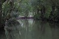 (21) Le Marais Poitevin